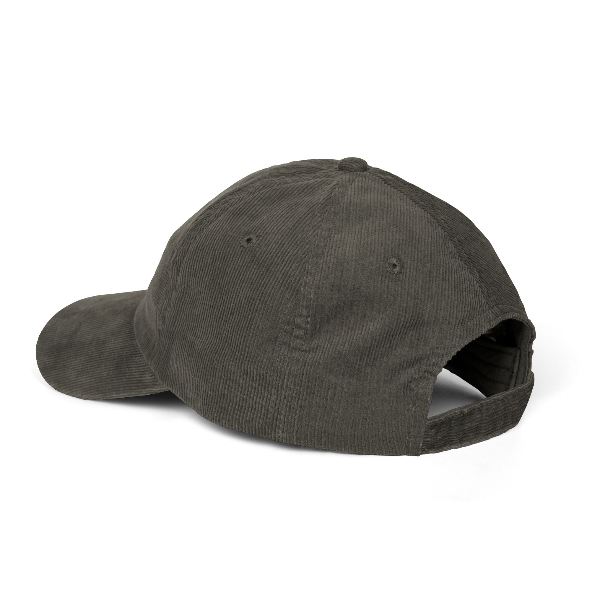 Boy Problems Script Corduroy Hat